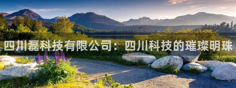四川磊科技有限公司：四川科技的璀璨明珠