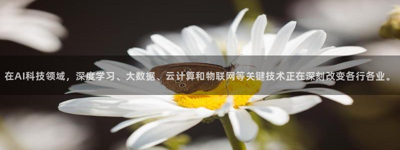 在AI科技领域，深度学习、大数据、云计算和物联网等关键技术正在深刻改变各行各业。