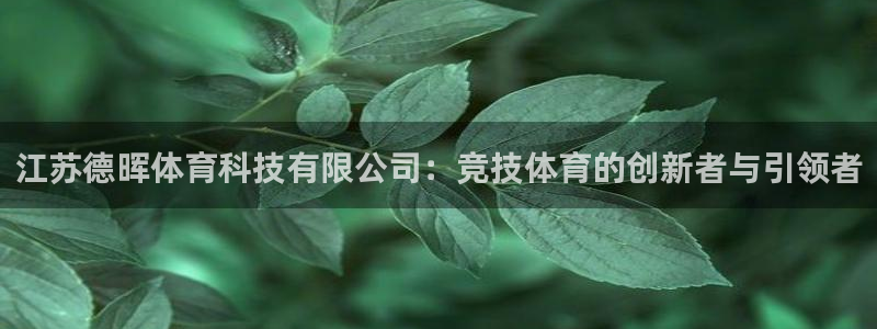 江苏德晖体育科技有限公司：竞技体育的创新者与引领者