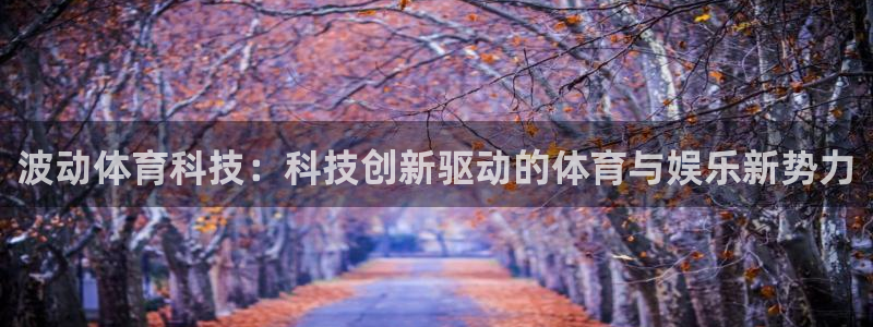 波动体育科技：科技创新驱动的体育与娱乐新势力