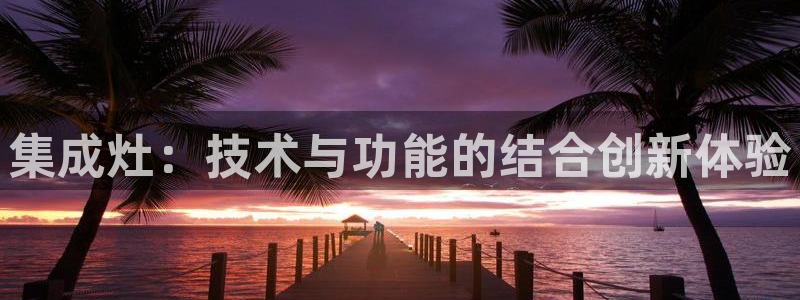 集成灶：技术与功能的结合创新体验
